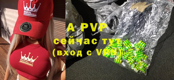 хмурый Абаза
