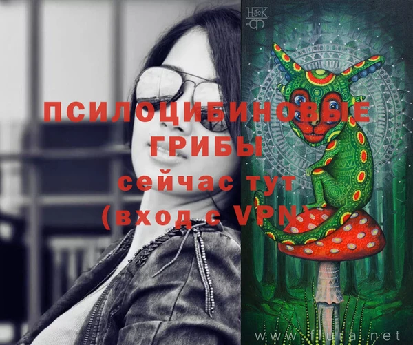 хмурый Абаза