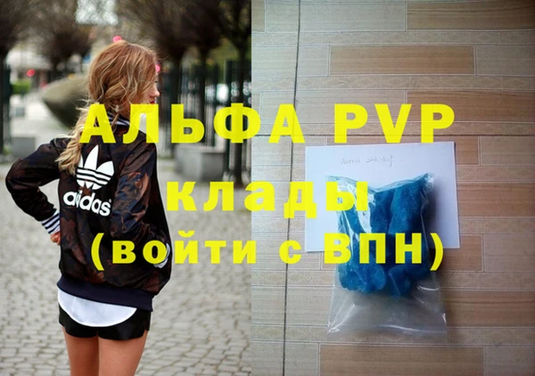 хмурый Абаза