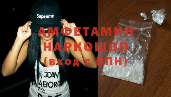 хмурый Абаза